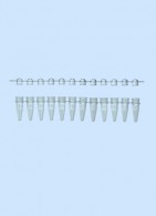 12er PCR Streifen 0,2 ml mit Deckelstreifen, blau