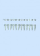 12er PCR Streifen 0,2 ml mit Deckelstreifen, grün