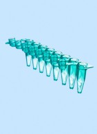 8er PCR Streifen 0,2 ml mit einzeln anhängendem Deckel, domförmig, grün