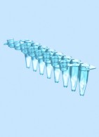 8er PCR Streifen 0,2 ml mit einzeln anhängendem Deckel, domförmig, blau