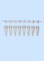 PCR-8er Streifen mit PCR-8er Deckelstreifen, natur, RNase/DNase frei