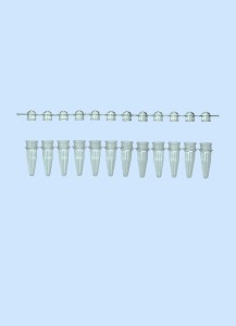 12er PCR Streifen 0,2 ml mit Deckelstreifen, grün