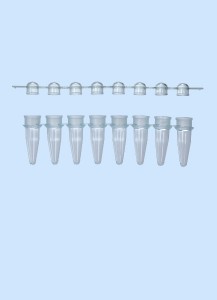 PCR-8er Streifen mit PCR-8er Deckelstreifen, grün, RNase/DNase frei
