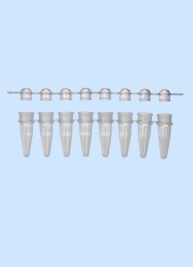 PCR-8er Streifen mit PCR-8er Deckelstreifen, natur, RNase/DNase frei
